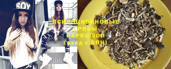 круглые Вяземский